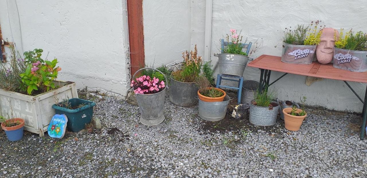 Murphy'S Irish Farmhouse Near Ballybunion Extérieur photo